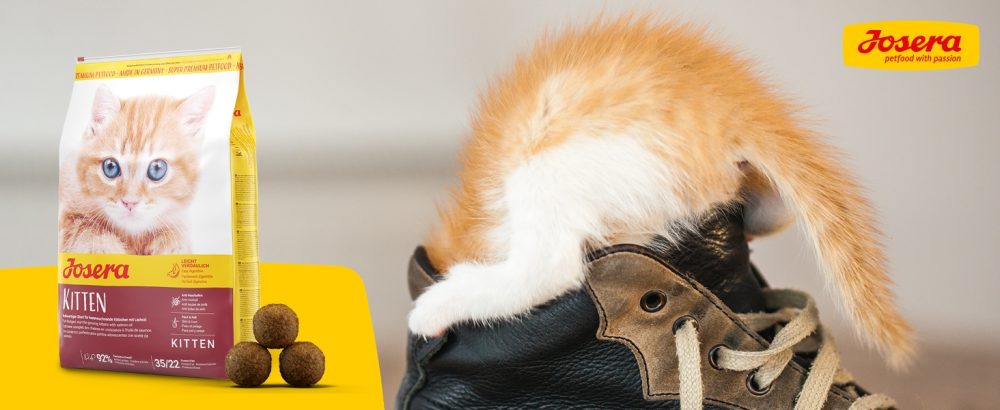 غذای خشک گربه جوسرا مدل کیتن JOSERA KITTEN وزن 2 کیلوگرم - Image 3