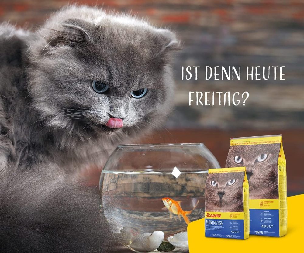 غذای خشک گربه جوسرا مدل مارینس JOSERA MARINESSE وزن 2 کیلوگرم - Image 4