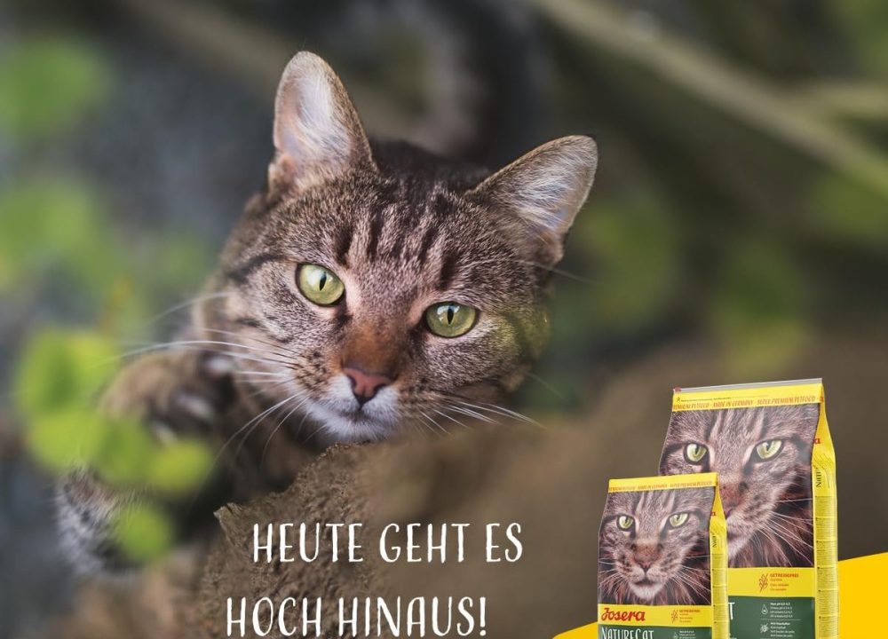 غذای خشک گربه جوسرا مدل نیچرکت JOSERA NATURECAT وزن ۲ کیلوگرم - Image 3