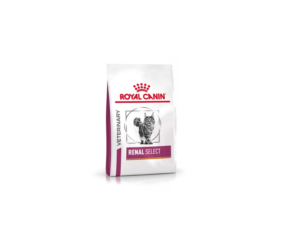 غذای خشک گربه مخصوص مشکلات کلیوی رویال کنین Royal Canin RENAL SELECT