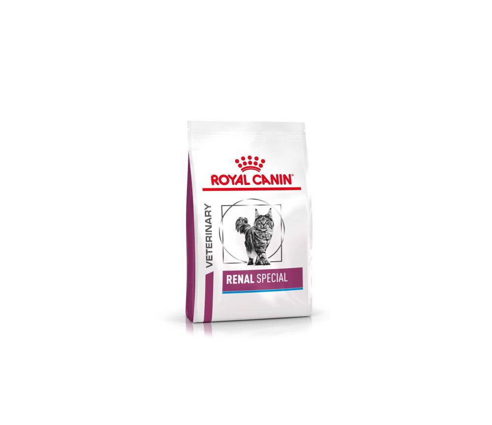 غذای خشک گربه مخصوص مشکلات کلیوی رویال کنین Royal Canin RENAL SPECIAL