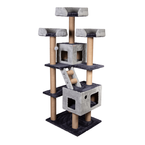 اسکرچر ، لانه ، جای خواب و درخت کدیپک مدل گردو