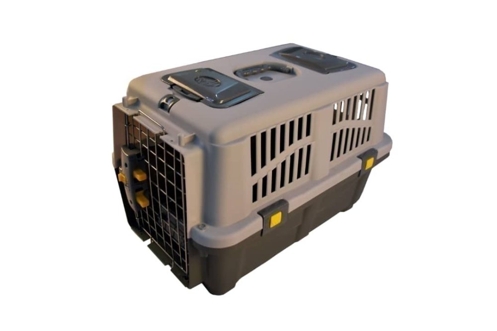 باکس حمل حیوانات سگ و گربه هپی پت طرح رها سایز 3 2 باکس حمل حیوانات سگ و گربه هپی پت طرح رها سایز 3 - Image 2