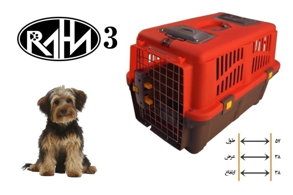 باکس حمل حیوانات سگ و گربه هپی پت طرح رها سایز 3 4 باکس حمل حیوانات سگ و گربه هپی پت طرح رها سایز 3 - Image 4