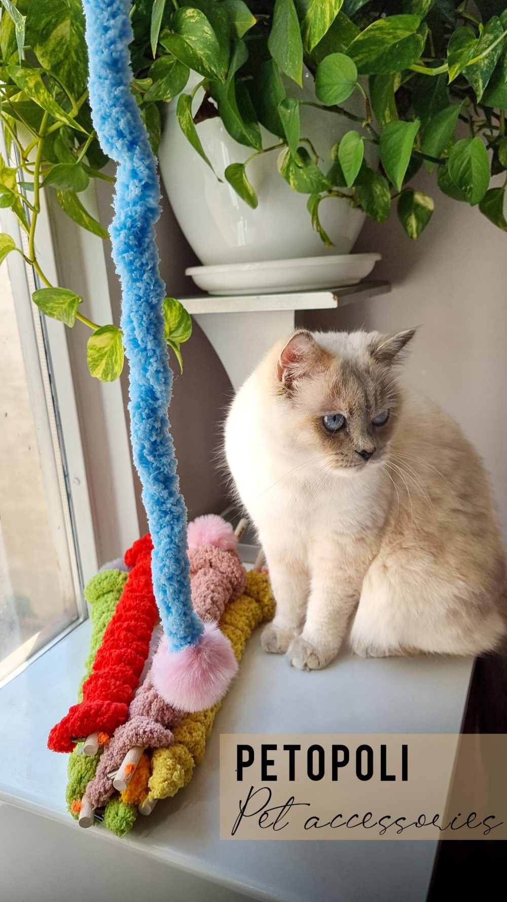 اسباب بازی گربه مدل چوب ماهیگیری دسته چوبی پتوپولی 3 اسباب بازی گربه مدل چوب ماهیگیری دسته چوبی پتوپولی - Image 3