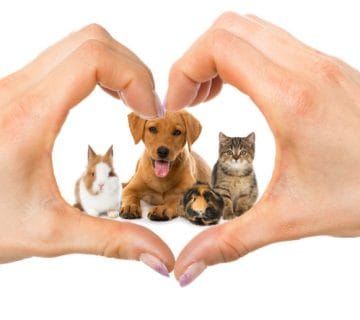 ۵ مزیت شگفت‌انگیز داشتن حیوان خانگی