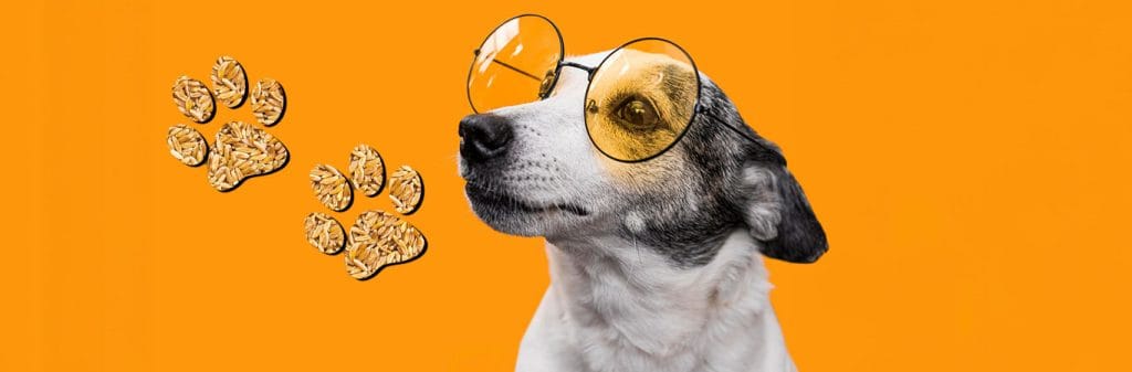 بلوپتشاپ 1 پتشاپ بلوشاپ