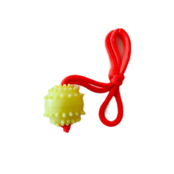 توپ آموزشي سگ بند دار SMALL زاریکس ZARIX