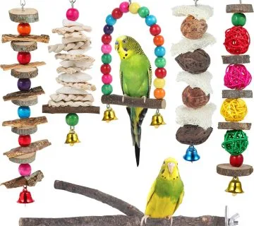 لوازم نگهداری پرندگان