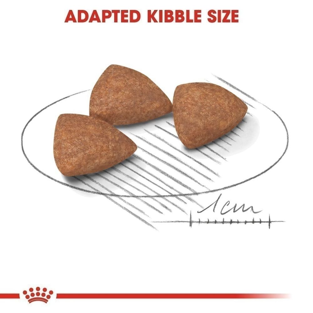 غذای خشک توله سگ نژاد کوچک رویال کنین Royal Canin Mini Indoor Puppy وزن 1.5 کیلوگرم - Image 2