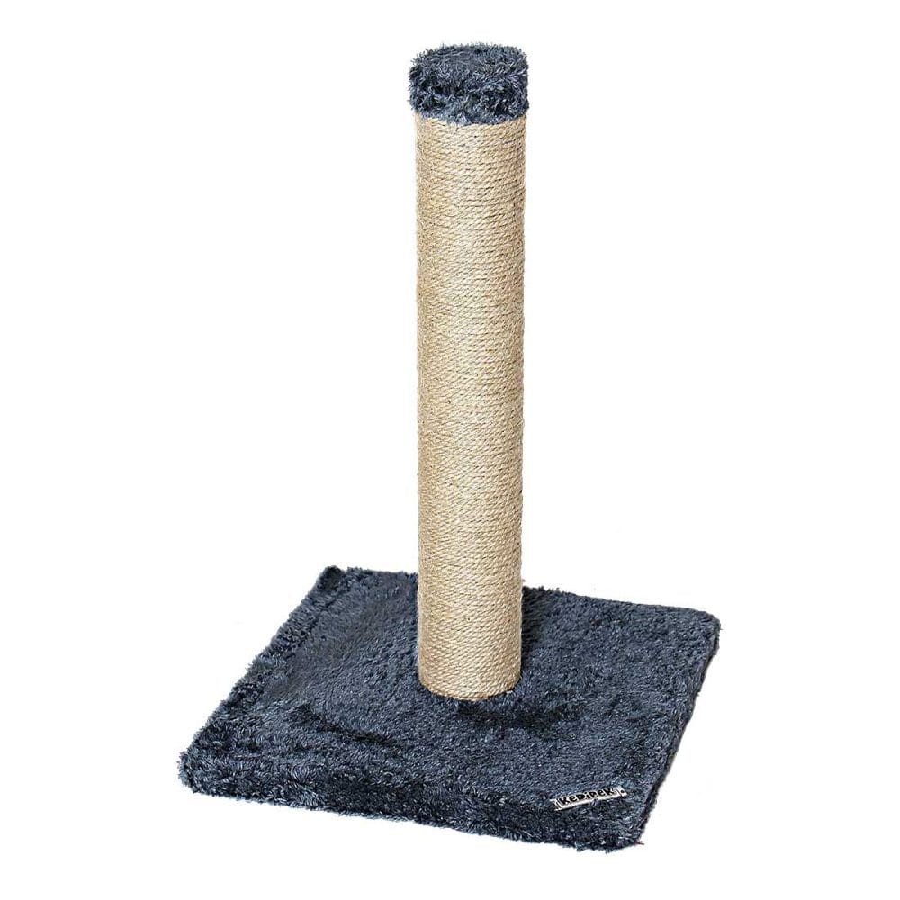 اسکرچر مدل کلاسیک 2 کدیپک Scratcher Classic 2