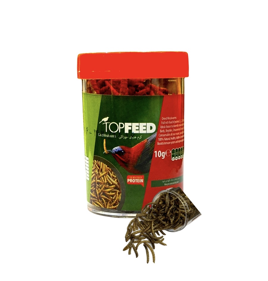 میل ورم خشک شده (کرم مغذی) پرندگان، خزندگان و لاک پشت تاپ فید Topfeed Dry Mealworm وزن 40 گرم 1 میل ورم خشک شده (کرم مغذی) پرندگان، خزندگان و لاک پشت تاپ فید Topfeed Dry Mealworm وزن 40 گرم
